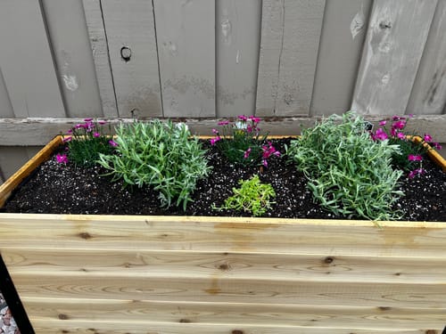 Customer photo review of 18" x 48" Raised Garden Bed
