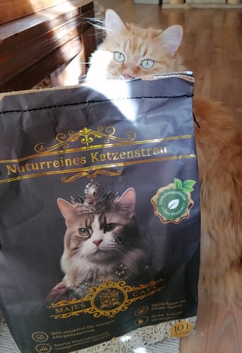 Customer photo review of Naturreines Katzenstreu