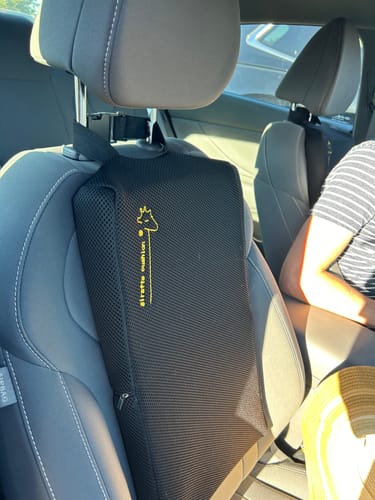 Customer photo review of Giraffe Cushion