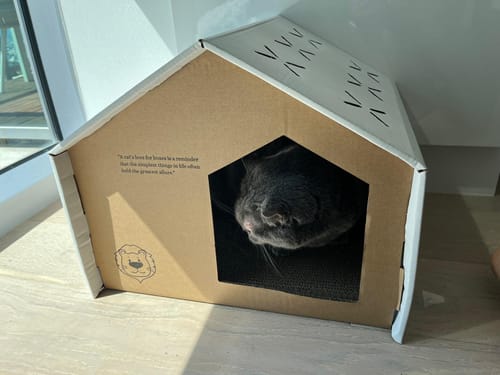 Customer photo review of Recycled Cat Scratching House