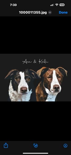 Customer photo review of Pet Art Canvas Wrap