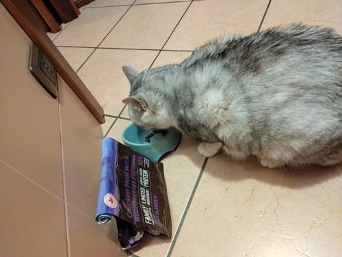 Customer photo review of Abbonamento Gatto formula Pollo e Mirtilli