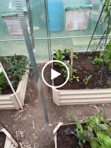 Customer video review of Professional Tom/Veg Growing Mix, 25L