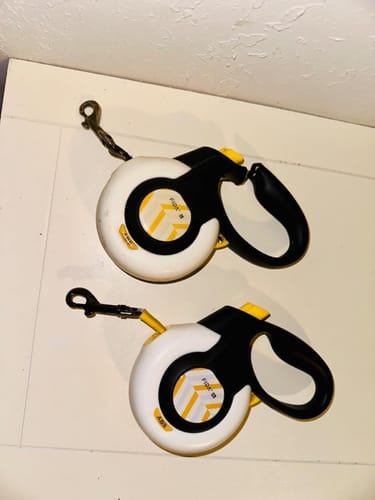 Customer photo review of FIDA AutoBrake Leash