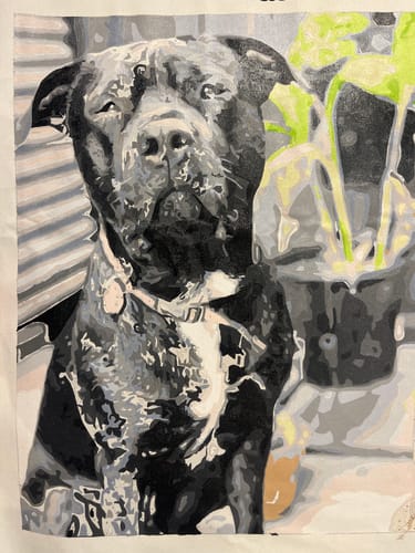 Customer photo review of Custom Paint by Numbers Kit