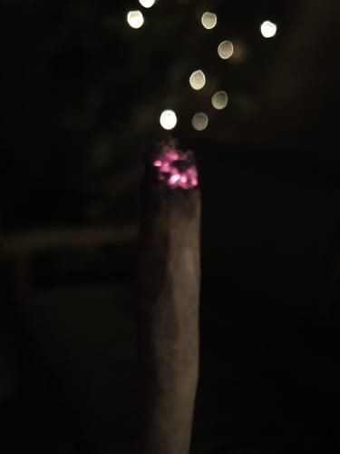 Customer photo review of 🎁 FREE GIFT | Og Sour - CBD Blüte (100% off)