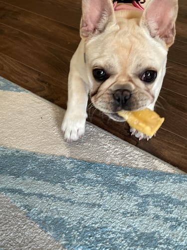 Customer photo review of MIX FLAVORED CHEWS ( A PACK OF 6 STICKS )