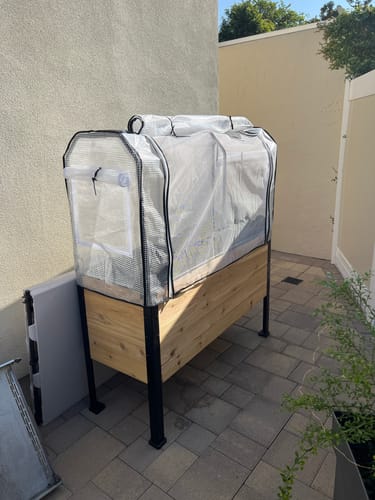 Customer photo review of Greenhouse Cover