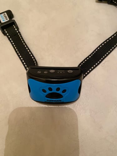 Customer photo review of Collier Anti Aboiement PuppySafe