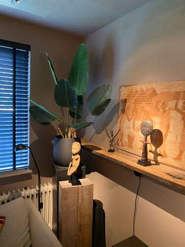 Customer photo review of Strelitzia Kunstplant 120cm