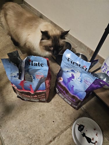 Customer photo review of Abbonamento Gatto formula Pollo e Mirtilli