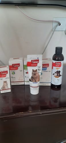 Customer photo review of Fish Oil 200ml & Move+G Tablet & Immune+C Tablet