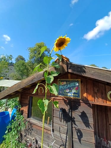 Customer photo review of Mon jardin - Outdoor-Pancarte de porte