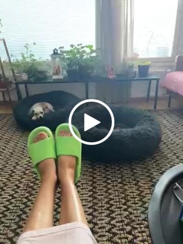 Customer video review of HappyFlops