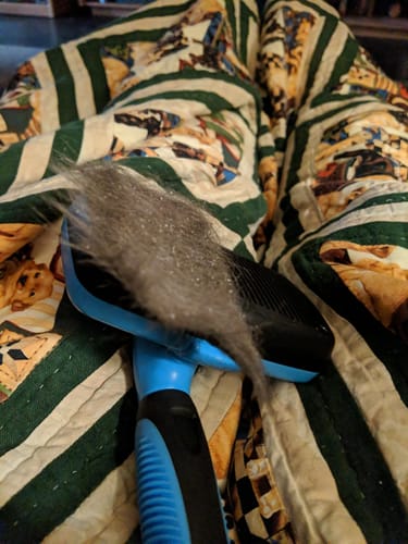 Customer photo review of FIDA Self Cleaning Slicker Brush
