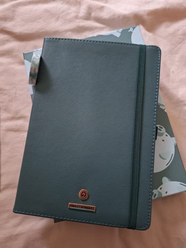 Customer photo review of Budget - Deluxe Life Journal
