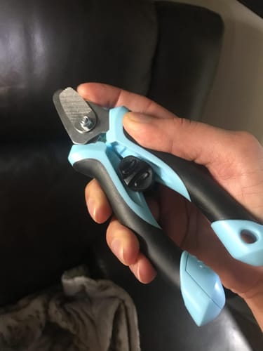 Customer photo review of FIDA Dog Nail Clippers with LED Light