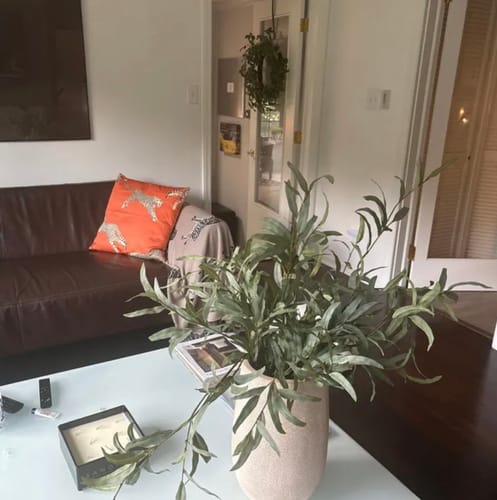 Customer photo review of Leaping Cheetah Clementine Pillow Cover