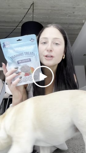 Customer video review of Beef Mini Training Treats