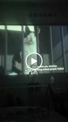 Customer video review of MovieHub™ Ultra HD Projector + FREE Projector Screen