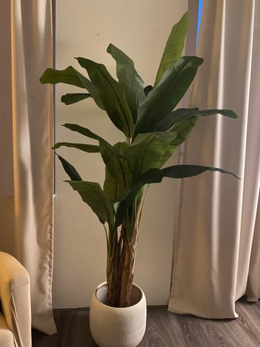 Customer photo review of Kunst Bananenplant 180cm