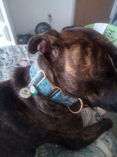 Customer photo review of Beach Silicone