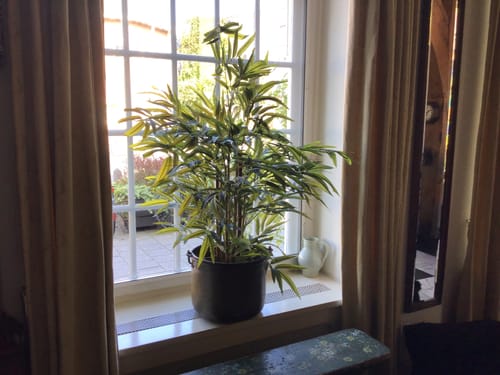 Customer photo review of Bamboe Kunstplant B 120 cm