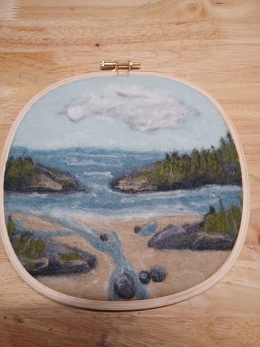 Customer photo review of Coastal Waters Needle Felting Kit