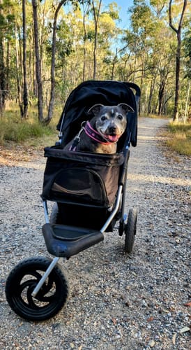 Customer photo review of PaWz Pet Dog Stroller Pram - Black