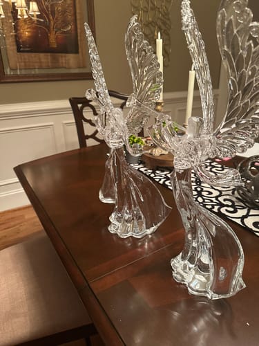 Customer photo review of Volute Angel