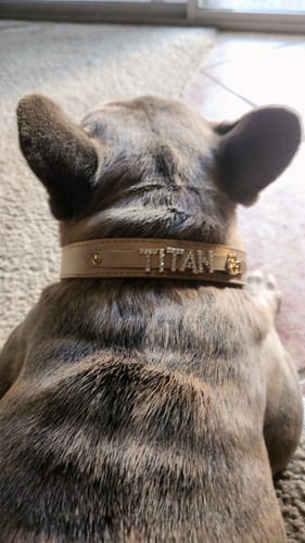Customer photo review of Size Exchange Service