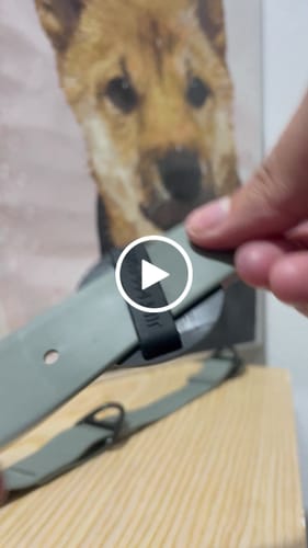 Customer video review of Service Dog Jiby Dog Charm