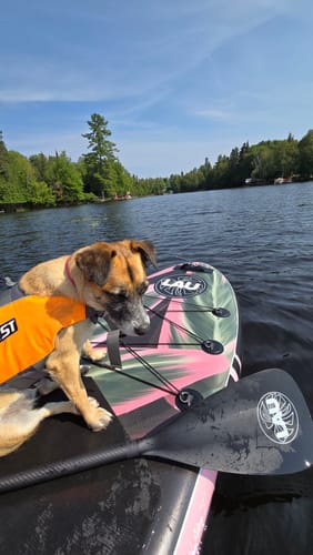 Customer photo review of Natural- 10'6 All-around- Paddle board gonflable