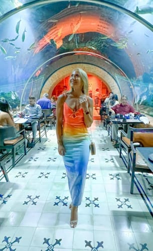 Customer photo review of Sirene Sequin Gradient Starfish Brooch Cutout Slit Stretch Maxi Dress