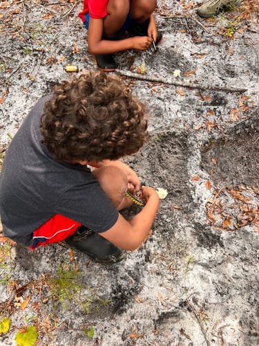 Customer photo review of The Black Beard Ferrocerium Rods