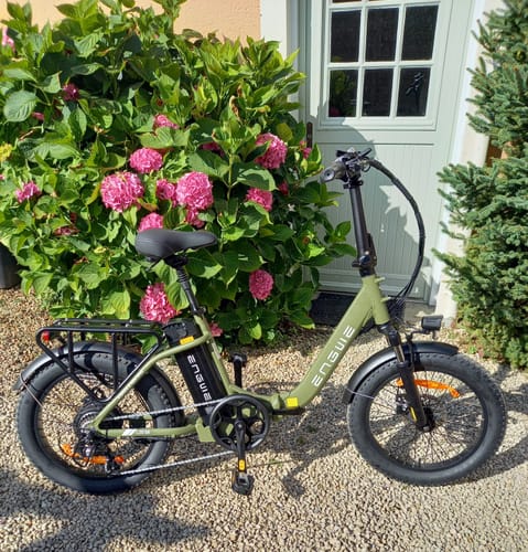 Customer photo review of Engwe L20 SE 250W 20" Foldable Electric Trekking Bike 15.6Ah Step-through E-bike