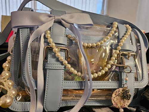 Customer photo review of Jane's Clear Messenger Bag - Stadium Aproved