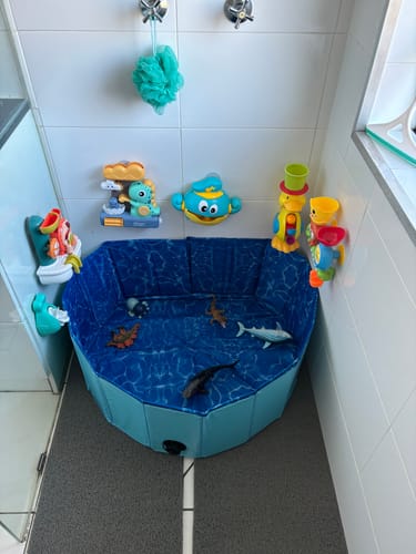 Customer photo review of Portable Pet Swimming Pool and Bath Tub
