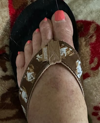 Customer photo review of English Bulldogs