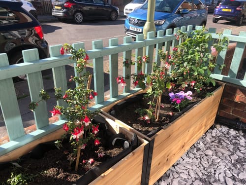Customer photo review of Raised Garden Bed - 46cm x 122cm x 76cm