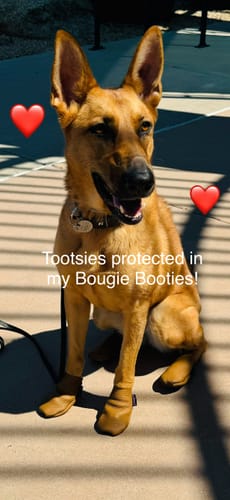 Customer photo review of Bougie Booties