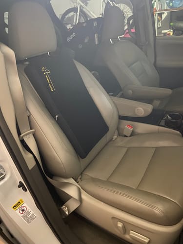 Customer photo review of Giraffe Cushion