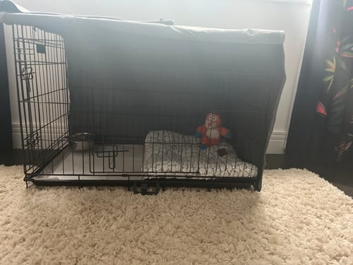 Customer photo review of Dog Crate, Heavy Duty Dog Cage With 2 Doors