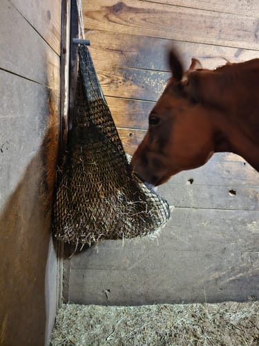 Customer photo review of Hay Chix® 2-Strand Bale Net (Small Bale Net)