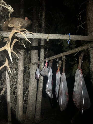 Customer photo review of Almost-Perfect Game Bag Sets
