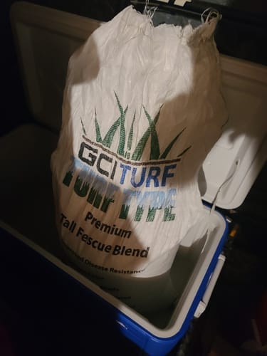 Customer photo review of GCI Turf Type Tall fescue Grass Seed