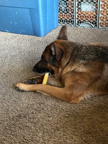 Customer photo review of MIX FLAVORED (Strawberry, Banana, Pumpkin, & Blueberry): A PACK OF 4 STICKS