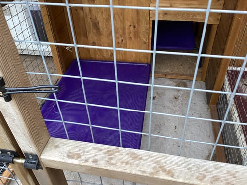 Customer photo review of HiK9 Bed with Purple Mesh Cover
