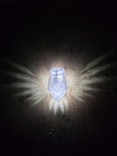 Customer photo review of LitLamp™ Luminous Eagle