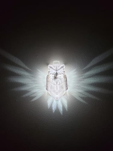 Customer photo review of LitLamp™ Luminous Eagle